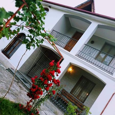 Villa "Zepuri" Dushet'i エクステリア 写真