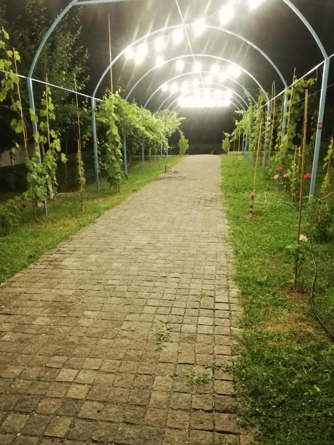 Villa "Zepuri" Dushet'i エクステリア 写真