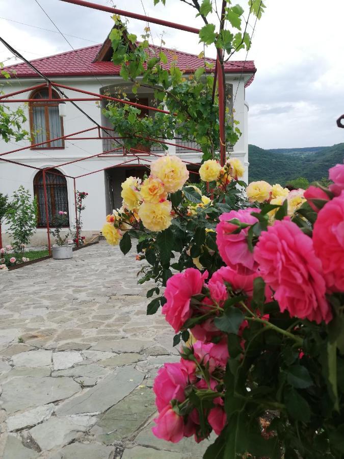 Villa "Zepuri" Dushet'i エクステリア 写真