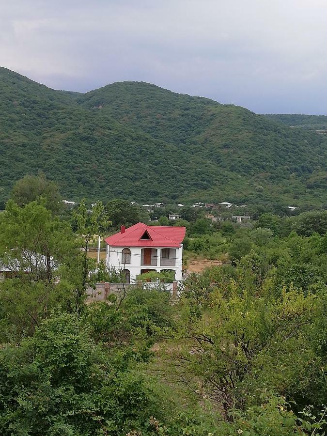 Villa "Zepuri" Dushet'i エクステリア 写真